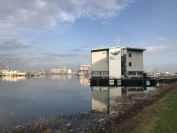 Bonte Zwaan 2